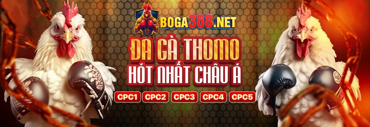 Hình ảnh minh họa bài viết nổi bật về sự an toàn và uy tín của b29 trang chủ chính thức