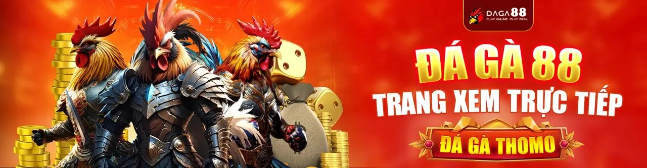 Giao diện cá cược trực tiếp b29 trên điện thoại